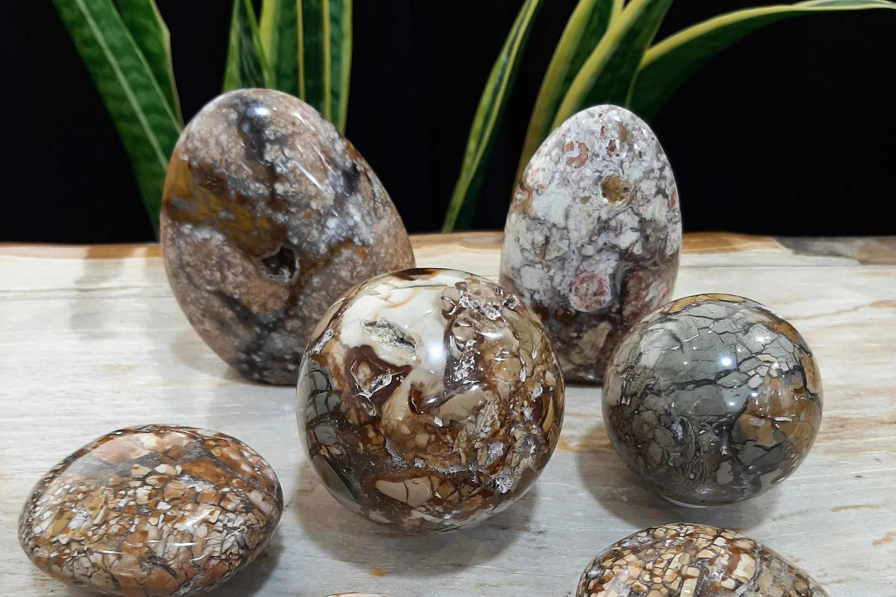 Morondaviet fairy dream