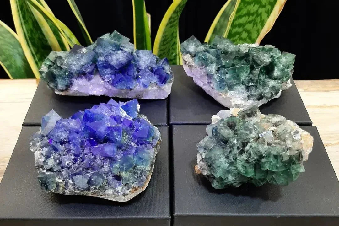 Daglicht Fluoriet Engeland