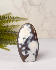 Orca Agaat sculptuur