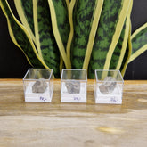 Ruwe saffier uit Kenia