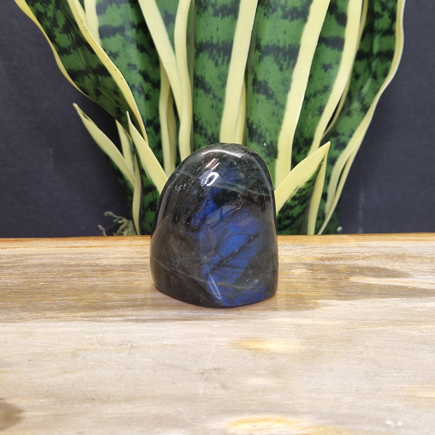 AA blauwe labradoriet sculptuur