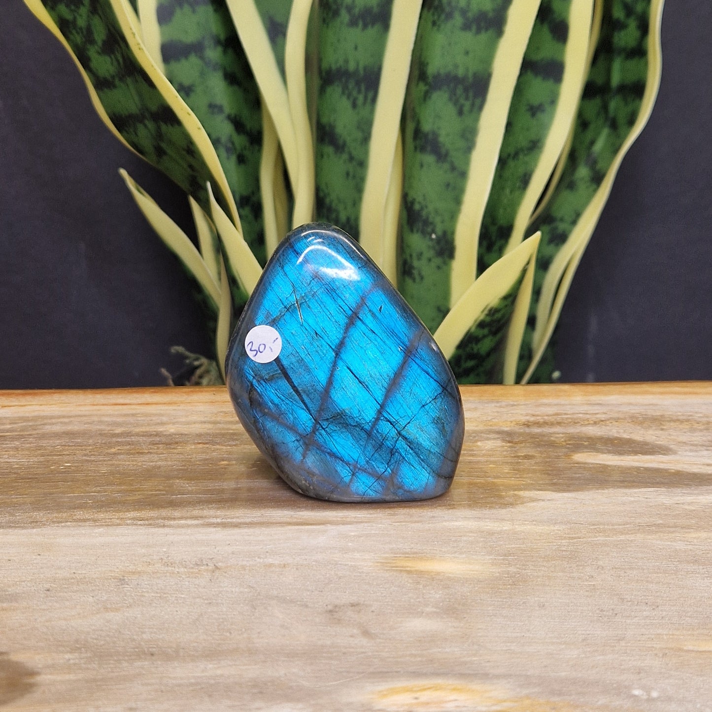 AA blauwe labradoriet sculptuur
