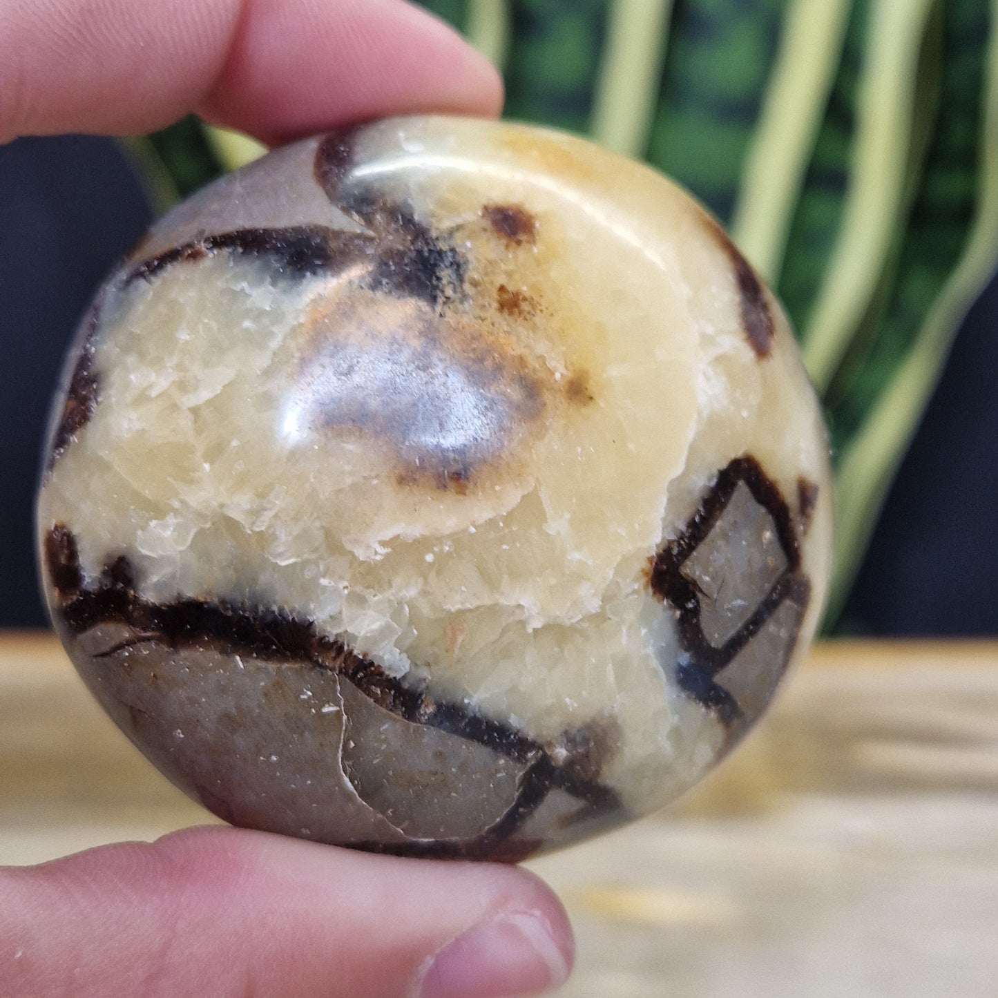Septarie handsteen met mooie gele strepen