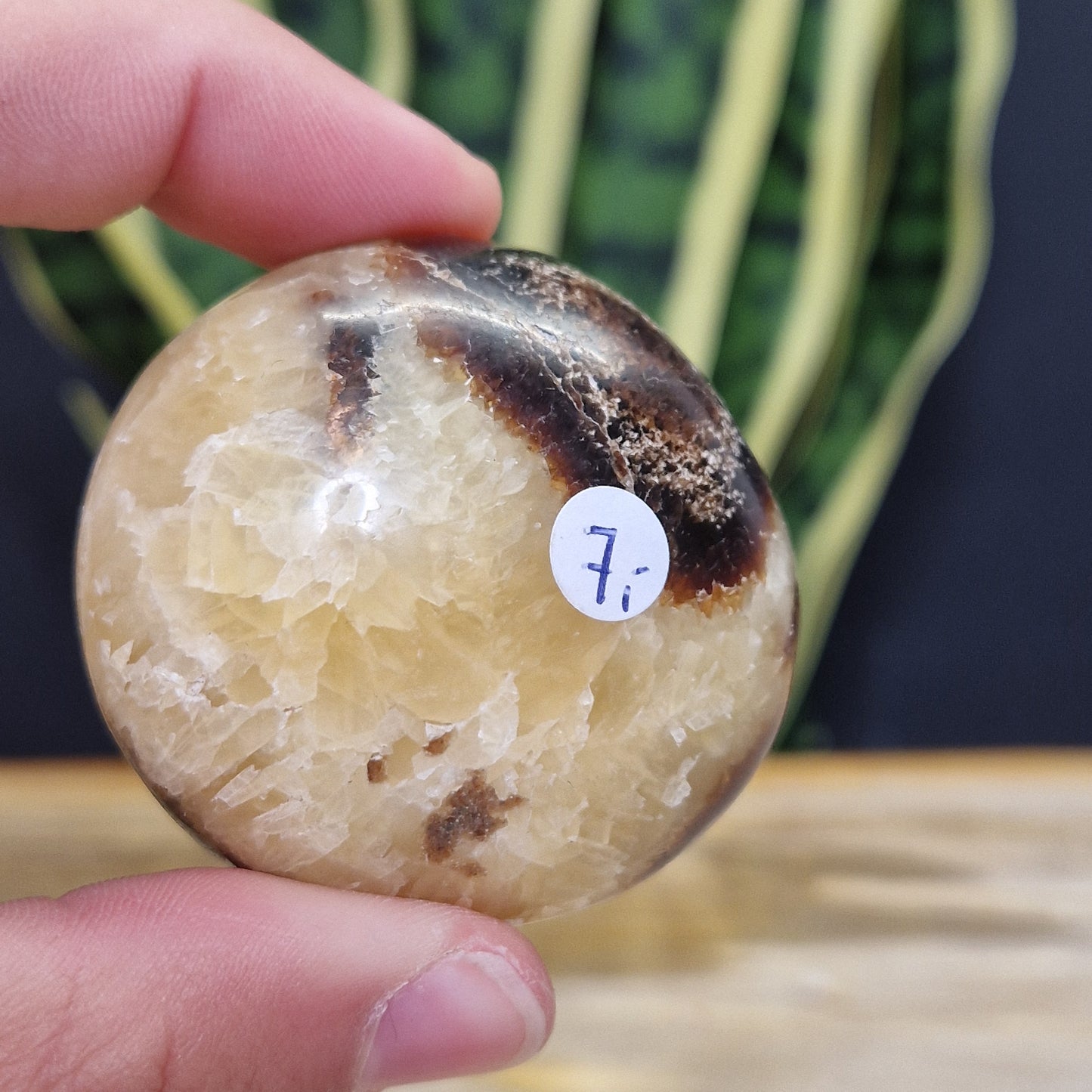 Septarie handsteen met mooie gele strepen
