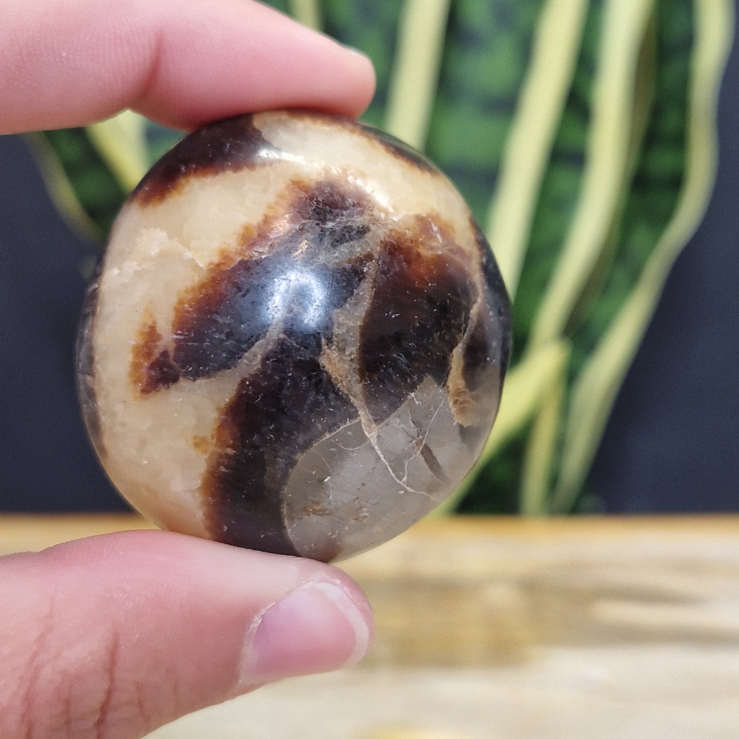 Septarie handsteen met mooie gele strepen