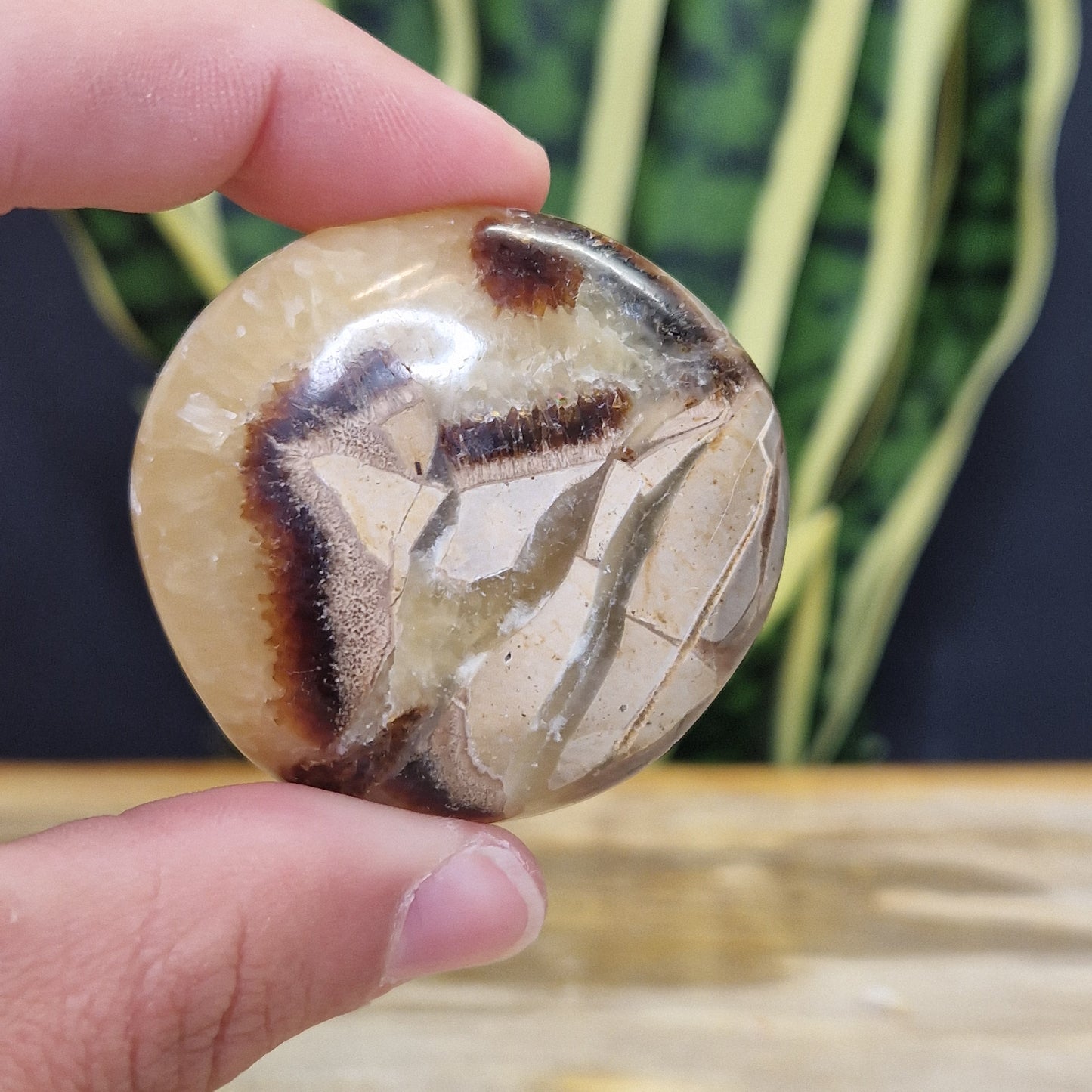 Septarie handsteen met mooie gele strepen