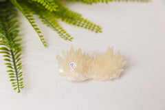 Calcietclusters uit Indonesië