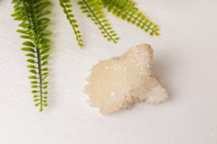 Calcietclusters uit Indonesië