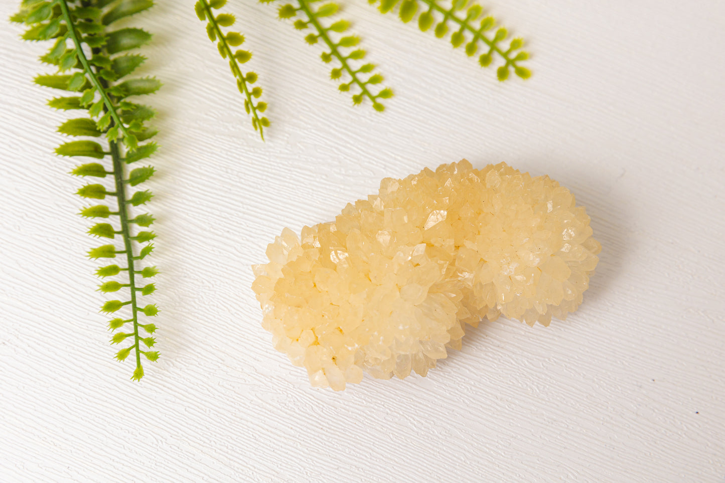 Calcietclusters uit Indonesië