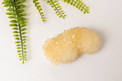 Calcietclusters uit Indonesië