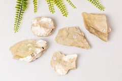 Gouden ruwe lepidoliet