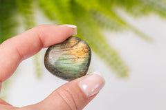 Labradoriet hartjes met gouden flash