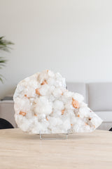 Apofyliet op standaard