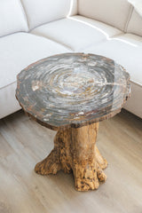 Versteend hout tafel uit Arizona