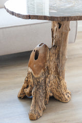 Versteend hout tafel uit Arizona