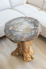 Versteend hout tafel uit Arizona