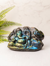 Labradoriet Ganesha carving