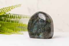 Labradoriet sculpturen klein