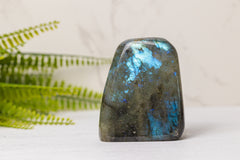 Labradoriet sculpturen klein