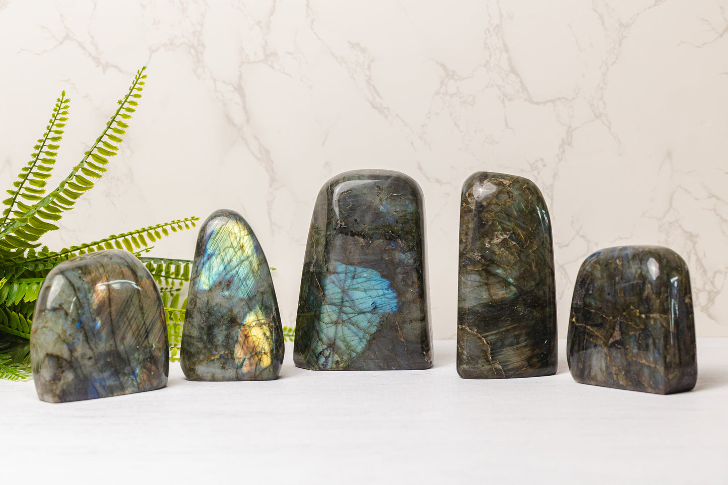 Labradoriet sculpturen groot