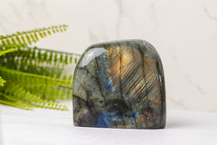 Labradoriet sculpturen groot