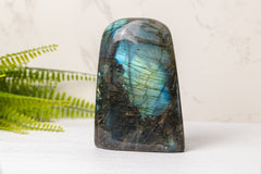 Labradoriet sculpturen groot