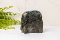 Labradoriet sculpturen groot