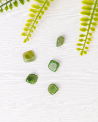 Nefriet trommelsteen