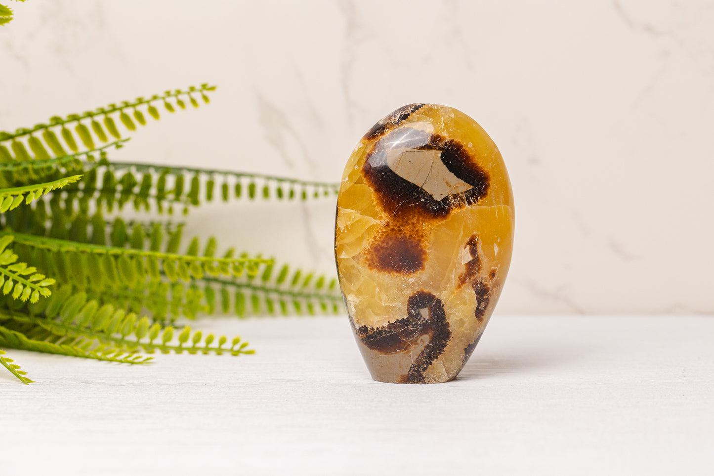 Septarie sculpturen
