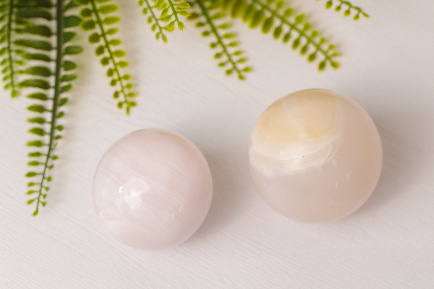 Mangano calciet bollen groot