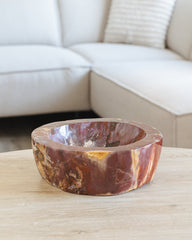 Versteend hout schaal