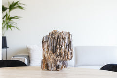 Versteend hout sculptuur 28kg