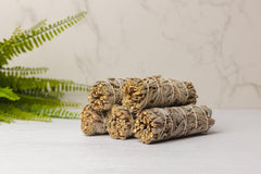 Witte salie smudge stick - 10 cm
