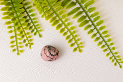 Rhodoniet trommelstenen