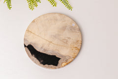 Versteend hout plak rond