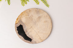 Versteend hout plak rond