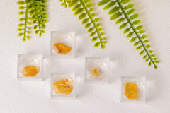 Barnsteen met ingesloten insect in doosje