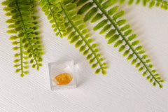 Barnsteen met ingesloten insect in doosje