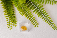 Barnsteen met ingesloten insect in doosje