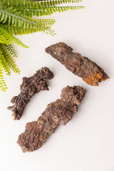 Ruwe coproliet stukken