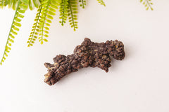 Ruwe coproliet stukken