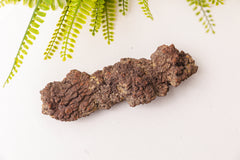 Ruwe coproliet stukken