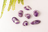 Dogteeth amethist trommelstenen