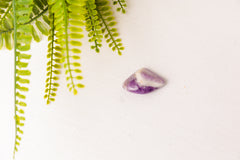 Dogteeth amethist trommelstenen