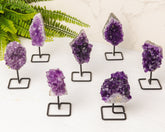 Amethist clustertjes op zwart standaardje - A kwaliteit