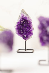 Amethist clustertjes op zwart standaardje - A kwaliteit