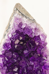 Amethist clustertjes op zwart standaardje - A kwaliteit