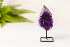 Amethist clustertjes op zwart standaardje - A kwaliteit