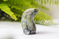 Serpentijn salamanders