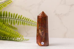 Versteend hout punten uit Madagaskar